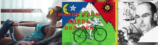 спиды Нея