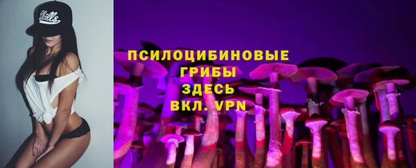 ешки Нефтегорск
